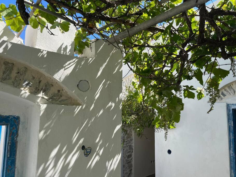 Dream House Little Villa - Amorgos Exterior photo