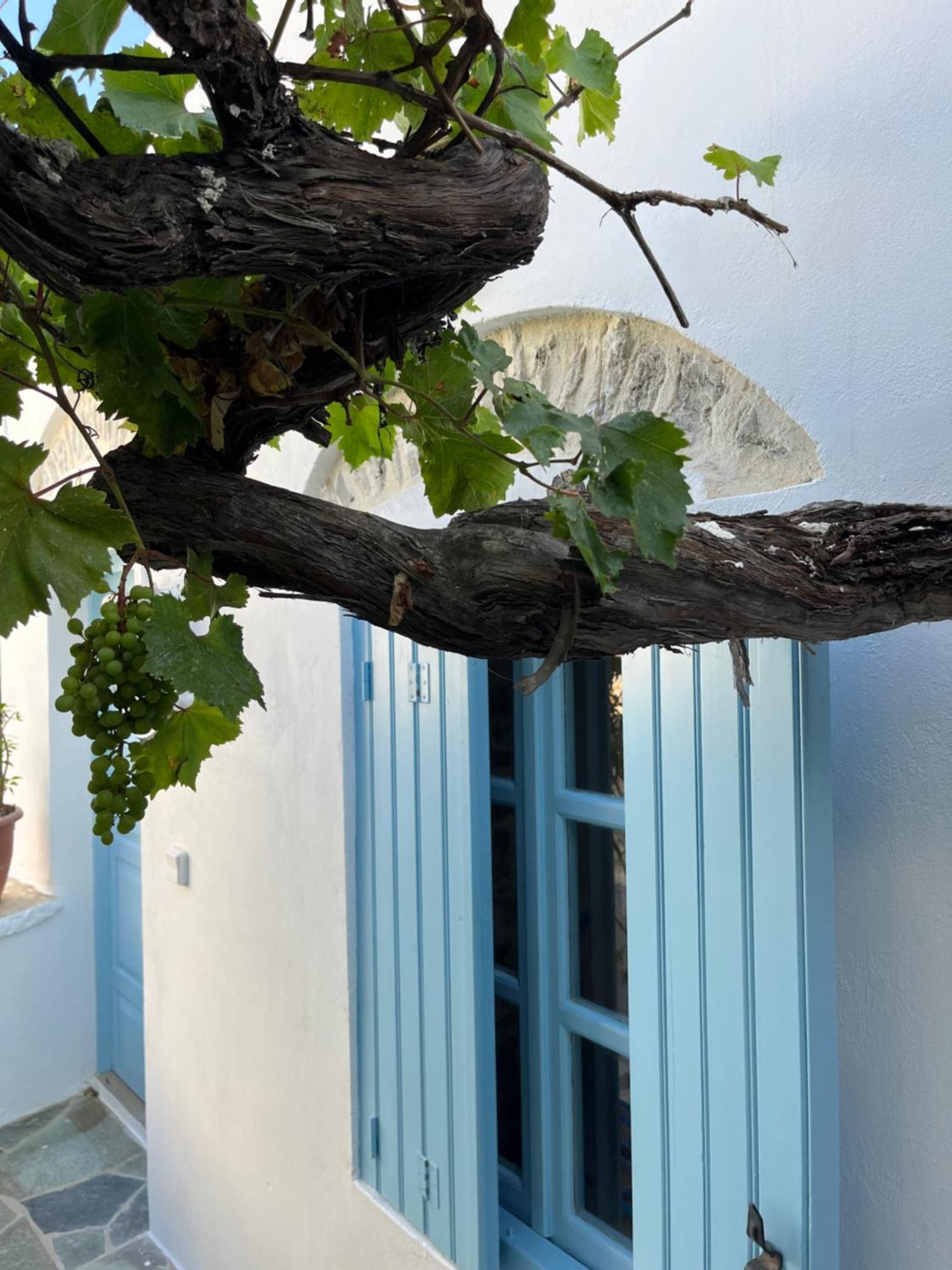 Dream House Little Villa - Amorgos Exterior photo