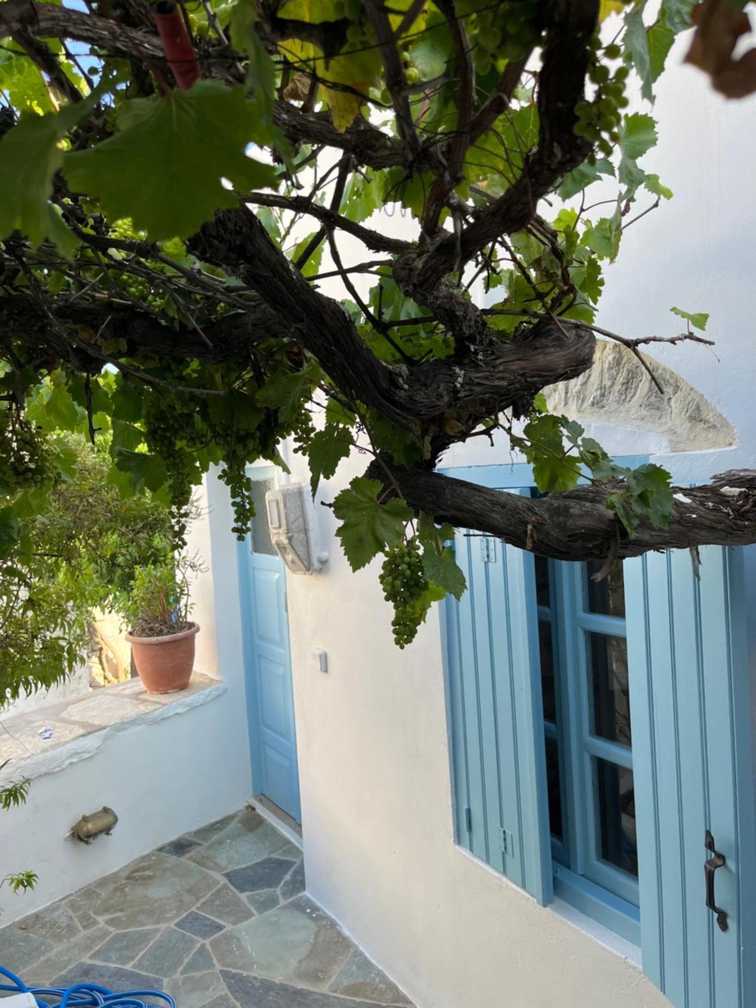 Dream House Little Villa - Amorgos Exterior photo